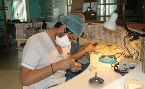 clinicamaqueta